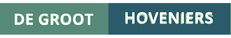 Tema 19 